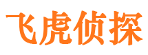 会理侦探公司